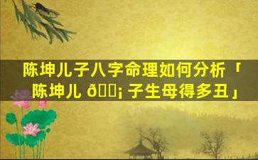 陈坤儿子八字命理如何分析「陈坤儿 🐡 子生母得多丑」